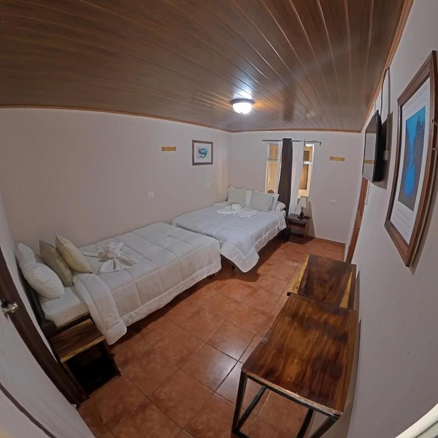 Casa Jungle Monteverde B&B ภายนอก รูปภาพ