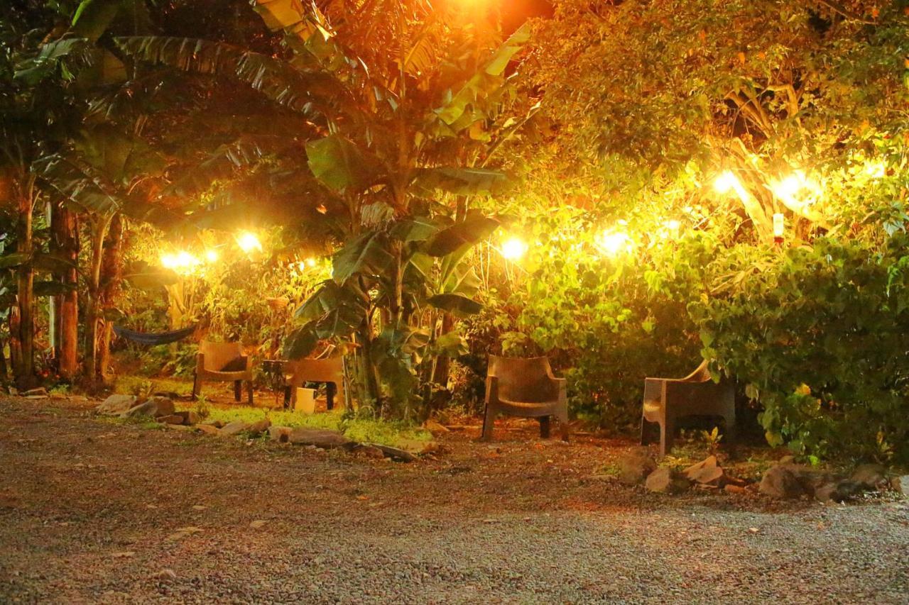 Casa Jungle Monteverde B&B ภายนอก รูปภาพ