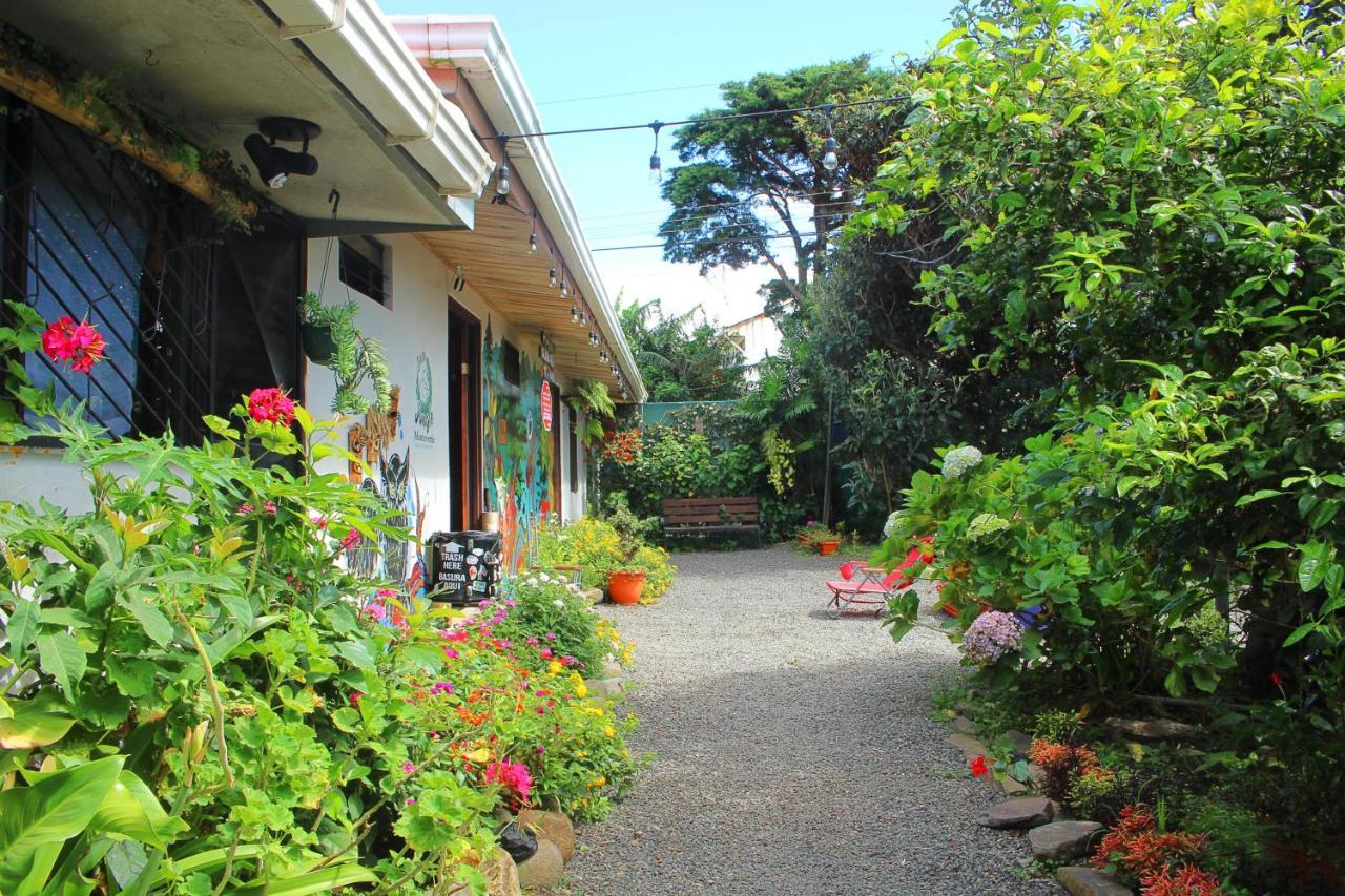 Casa Jungle Monteverde B&B ภายนอก รูปภาพ