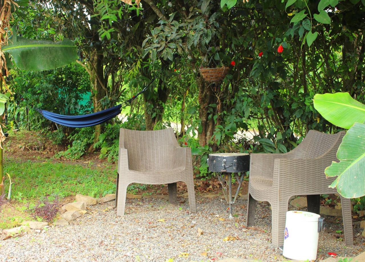 Casa Jungle Monteverde B&B ภายนอก รูปภาพ