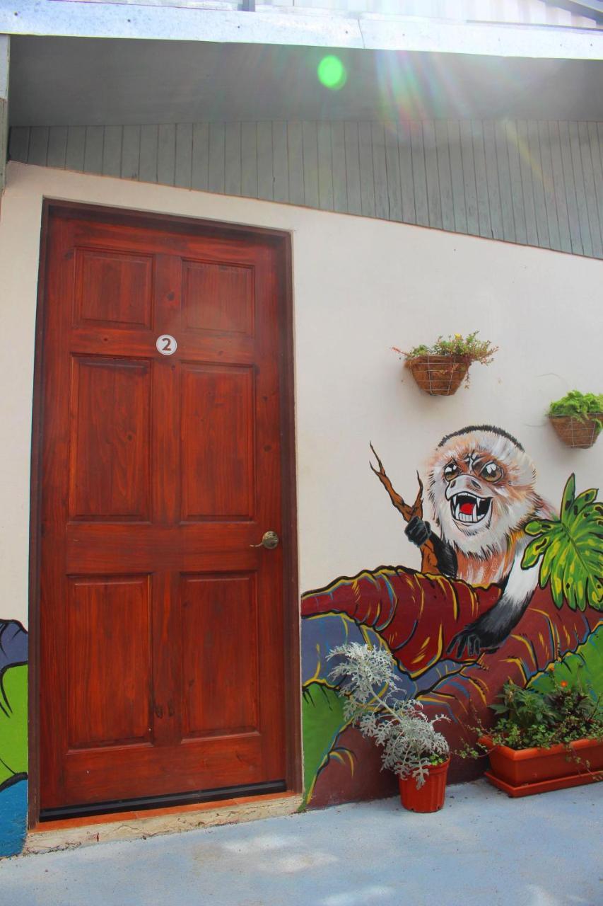 Casa Jungle Monteverde B&B ภายนอก รูปภาพ