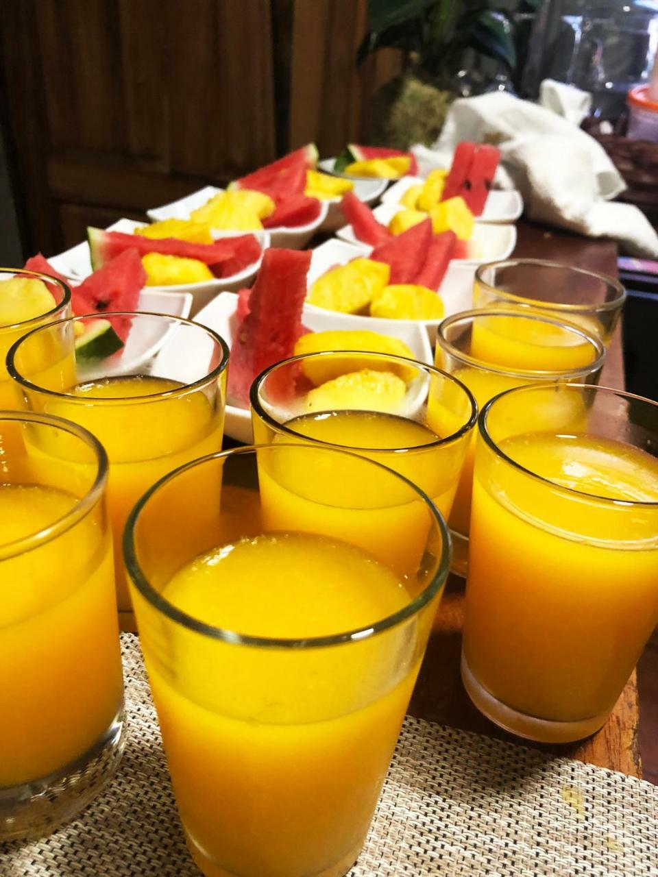 Casa Jungle Monteverde B&B ภายนอก รูปภาพ